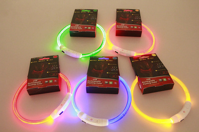 Pet Flashing Collar USB Rechargeable Glowing Necklace Safety Collar Light Up Collars For Night Walking Electric Dog Collar Neon - Image 7